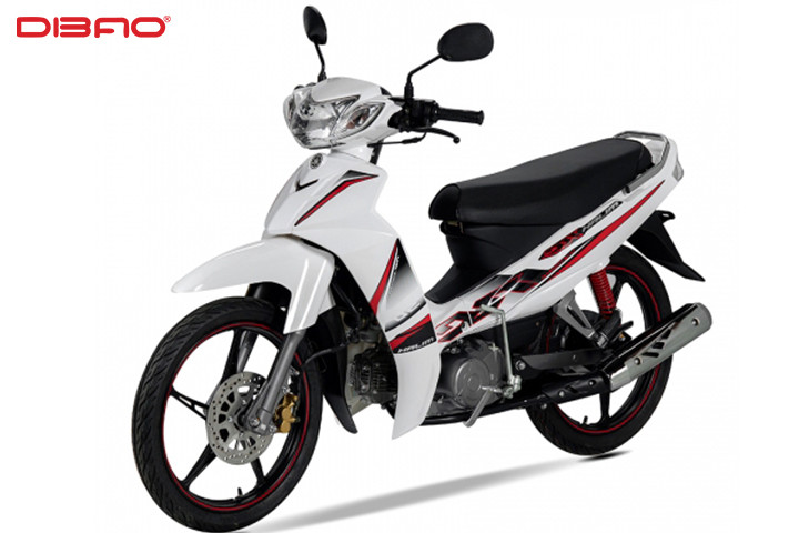 Xe 50cc Dibao RS bền bỉ